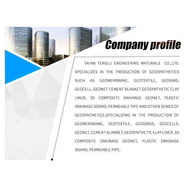 HDPE Plastic Planting Grass Paver Grid for Parking Lot and Driveway at 500mm Length