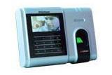Cheap TCP/IP Fingerprint Time Attendance wiht Color LCD display and USB interface wholesale