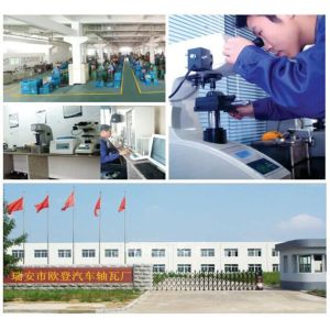 PingYang DEM Auto Parts Factory Certifications