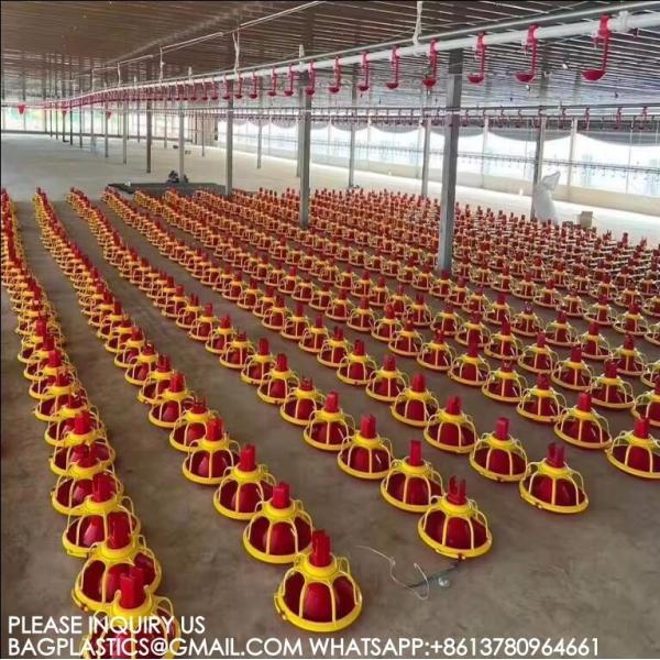 Agricultural Products Automatic Chicken Feeder Agricultural Greenhouses Animals Feeder