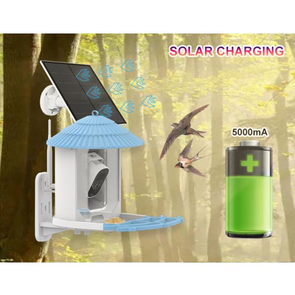 IP66 Waterproof 4MP Smart Bird Feeder 2.5L Wildlife Smart Bird Camera