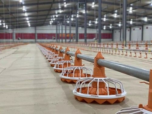 Poultry Chicken Layer Cage ODM Pvc Feed Trough