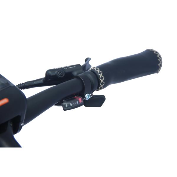 200w 2 Wheel Drive Electric Bike Adult 29 Inch 40 Mph E Fat Tire Portable Motorized Bike