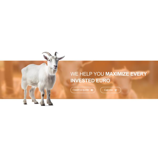 Aluminum Alloy Window Prefab Steel Construction Agricultural Building for Cattle Barn