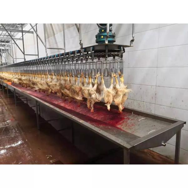 Chicken Duck Goose Poultry Slaughtering Line High Efficiency Stainless Steel 304