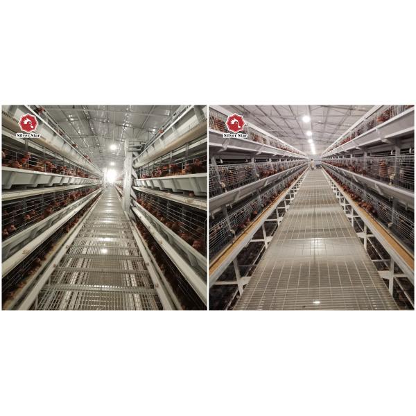 3.0mm Q235 H Type Battery Chicken Cage 4 Floors Poultry Farming Equipment