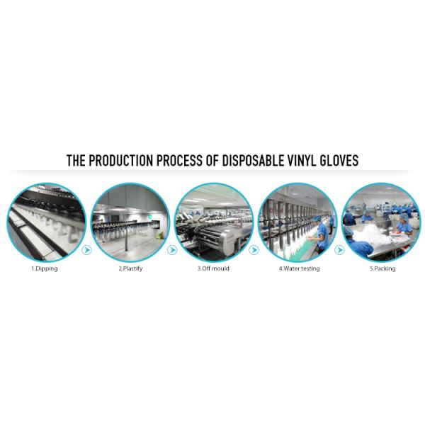 Durable Small Powder Free Latex Gloves / Latex Medical Exam Gloves For Extended Use