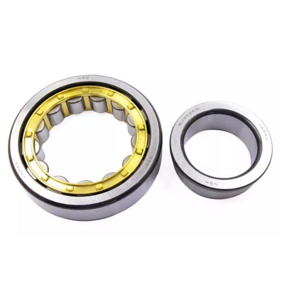 N310 ECP ECJ ECM Cylindrical Roller Bearing NJ311 NJ312 NJ313 NJ314 NJ315