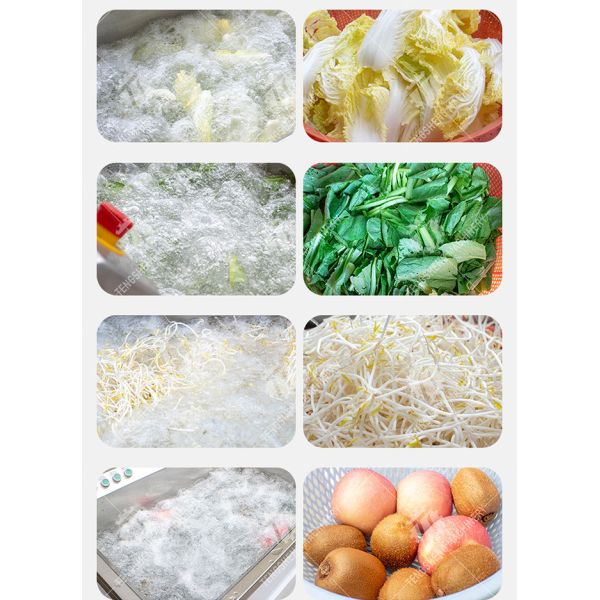 1.1KW Commercial eddy current bubble washing machine ozone multifunctional vegetable washing machine