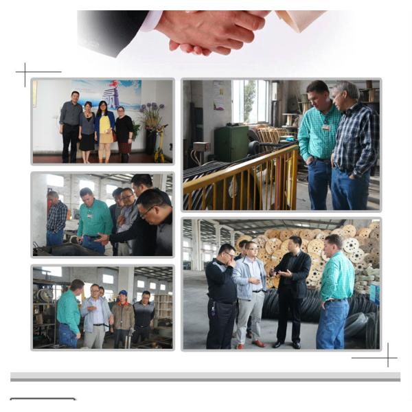 Eco-Friendly Retractable Dog Tie Out Cable with 4.41 KN Breaking Strength and Customizable Length