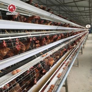 Cheap Soncap 3-8tiers Poultry Battery Layer Chicken Cage Hopper Feeding wholesale