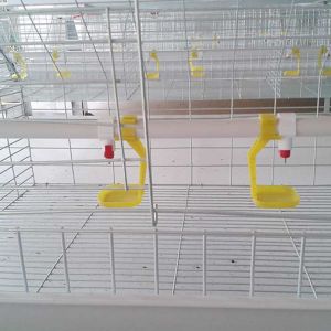 Cheap Custom Commercial Meat Chicken Cages, Durable Chick Breeding Cage wholesale