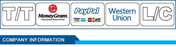 DC24V 10 Ton Porta Power Hydraulic Jack 5m Power Cable With Sliding Wheel