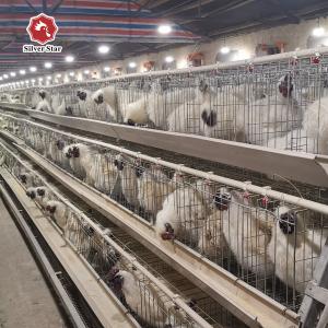 China 2000 Birds A Frame Layer Cages Layer Poultry Equipment SGS Approved on sale