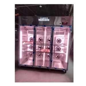 Cheap Meat Thawing Cabinet Stainless Steel Automatic Defrosting Cabinet wholesale