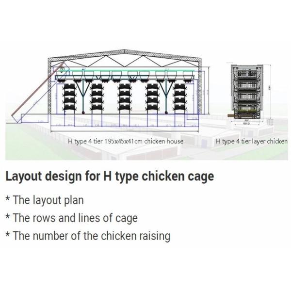 Multi - Tiers Layer Poultry Equipment Broiler Cage Farming Manage Easily