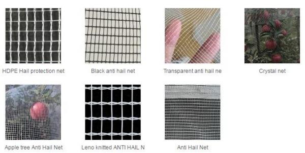 bird protection net, net trap,bird net,anti-bird net,mist net,pe tarpaulin,tarpaulin roll,shade net,mesh net,monoflament