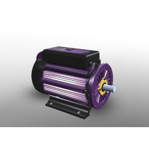 Cheap Permanent Magnet IP54 Intelligent Industrial Motor wholesale