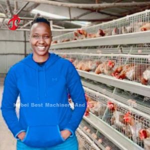 Galvanized Steel Layer Chicken Cage System Sandy