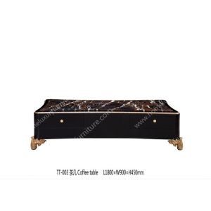Living Room Furniture Wood Sofa Table Center Table TT-003