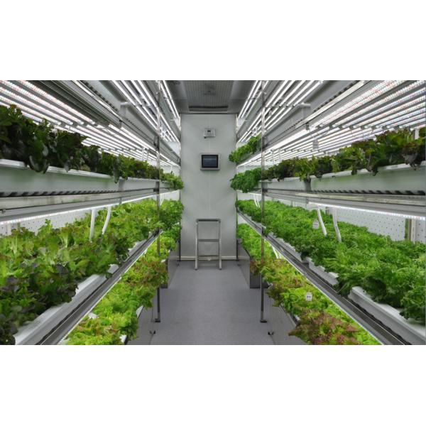 jx-container-greenhouse Vertical Plant Factories for Growing Vegetable Fruits Flowers
