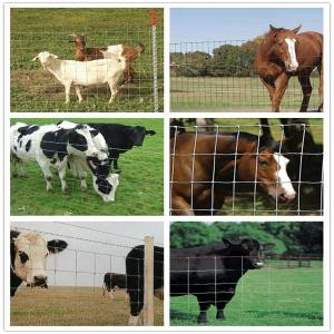 Cheap farm wire fence for sheep and goats wire mesh cattle farm fence/horse Woven Hinge Joint Wire Mesh Fence wholesale