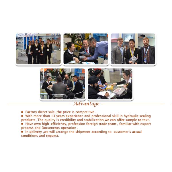 Wholesale GIANT O ring box O ring kits for excavator