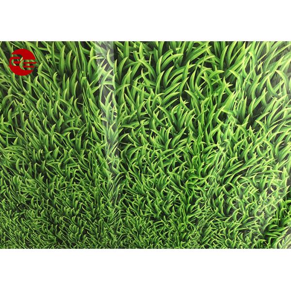 Color Embossed Ppgi Color Coated Sheets Corten Plate With Pvdf Pe Surface Protection