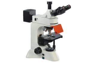 Cheap Trinocular Led Fluorescent Microscope Light 40X 1000X UIS Optical Microscope wholesale