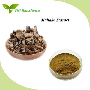 Cheap Food Maitake Mushroom Extract Powder Brown Griflola Frondosa Extract wholesale