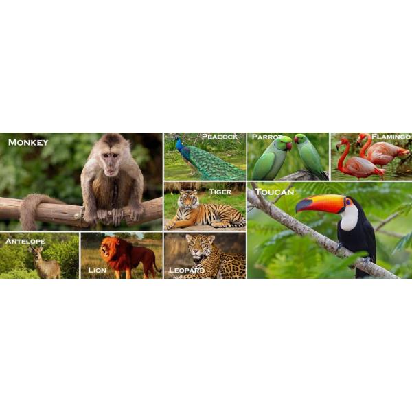 11 BWG 12 BWG Metal Chain Link Fencing OHSAS Wildlife Safe Fencing