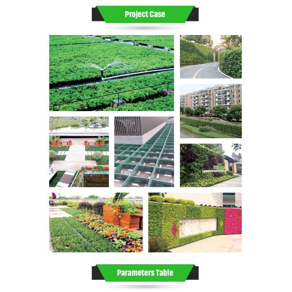 Sturdy HDPE Stabilization Grid for Ground and Grass Paver Plastic Paver Protection