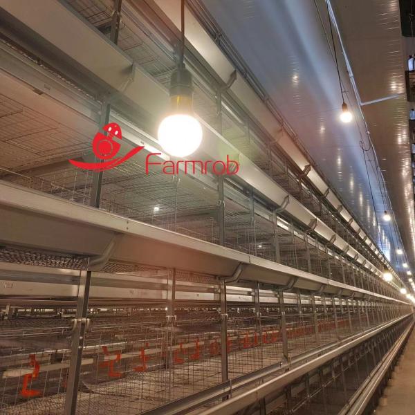 Chick Brooder Cage / Pullet Chick Cages Corrosion Resistant Smooth Burr-Free