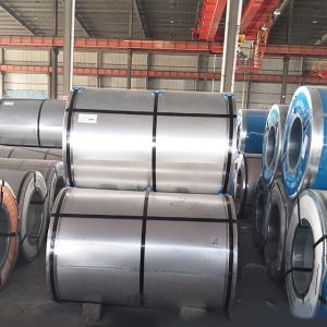 Buy cheap Ppgi Prepainted Steel Coil Suppliers Hot Dipped 600-1250mm from wholesalers