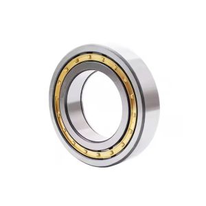 Manufacturer Auto Bearings NJ2211E Cylindrical Roller Bearing