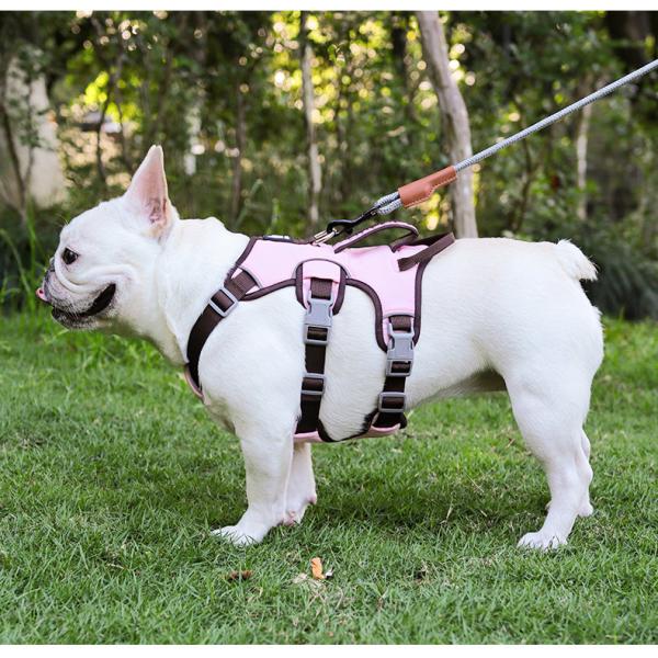 Medium Size Personalized Dog Harness No Pull Dog Harness Anti Breakaway Safe Anti Escape
