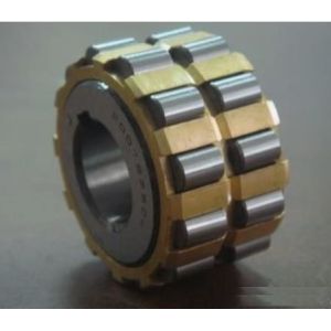 Cheap Practical C4 Cylindrical Roller Bearing Double Row Diameter 15-200mm wholesale