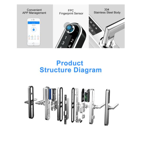 Stainless Steel Lock Smart Biometric Aluminium Door Locks Low Power Consumotion