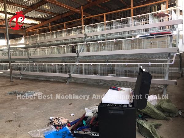 Semi Automatic Poultry Layer Cage 15000 Birds Manual Poultry Cage In Nigeria Iris