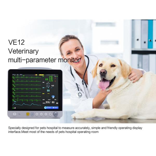 12.1inch Portable Vet Multi-parameter Monitor Yonker VE 12 Monitor Veterinary Multi-parameter 8 Monitor Price