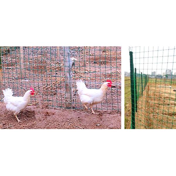 18m Length Green Plastic Coated Wire Fencing Panels Pvc Coated Wire Mesh Rolls