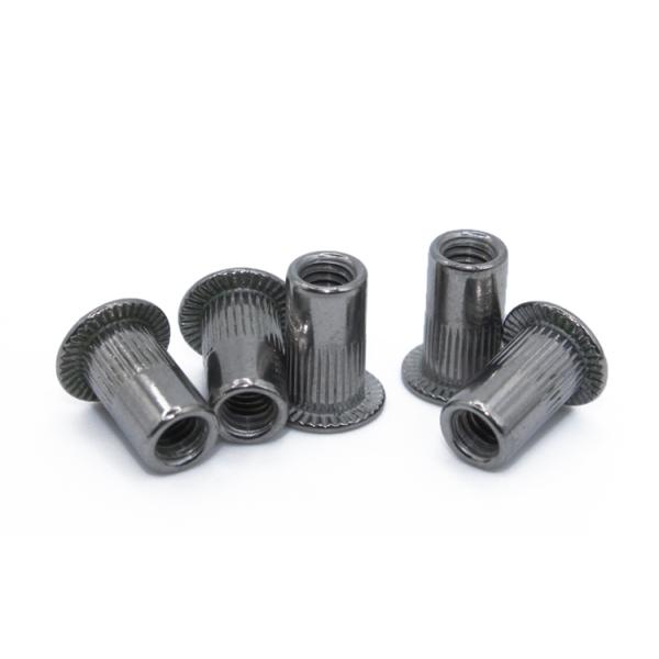 ISO Standard Galvanized Stainless Steel Blind Rivet Insert Screws with Bright Finish