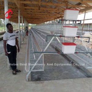 Galvanized Steel Layer Chicken Cage System Sandy