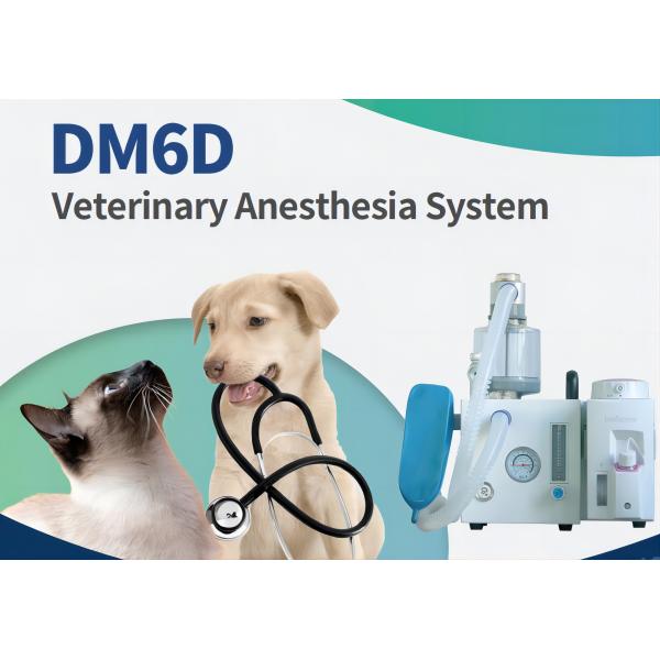 DM6D Veterinary Anesthesia Ventilator Small Animal Anesthesia System