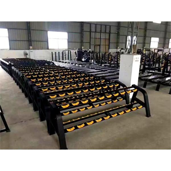 Custom Multi Function Gym Machine With Steel Dumbbell Rack