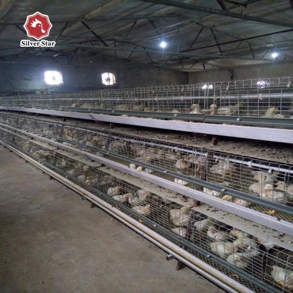4 Tier Battery Baby Chicken Cages Layer A Type Pullet Hot Galvanized