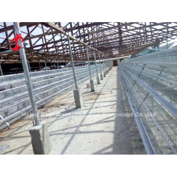 A Or H Type 3 Or 4 Tier Chicken Battery Cage For Poultry Chicken Farm Doris