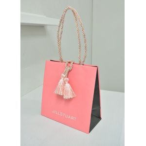 Cheap Biodegradable FSC Gift Kraft Paper Bag wholesale