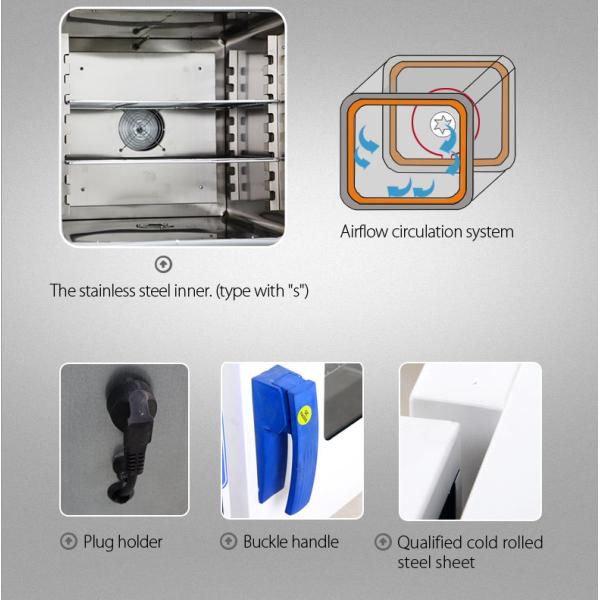 Sterilization Laboratory Dryer Oven 220V Electric Mini Air Dry Oven 250C