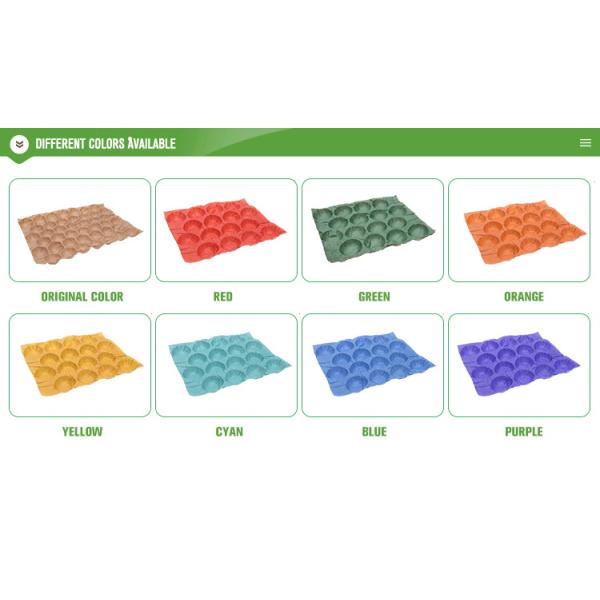 Wholesale 100% Biodegradable Kraft Paper Pulp Fruit Tray Liner Eco-Friendly Protection Packaging for Food Use